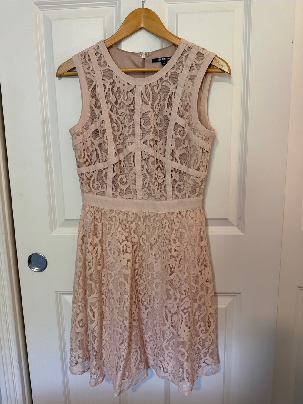 Gianni Bini Sleeveless Blush Lace A-Line Dress